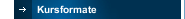 Kursformate
