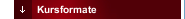 Kursformate