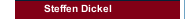 Steffen Dickel